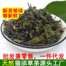 云南西雙版納腎茶