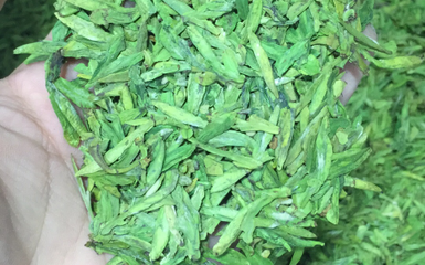 龍井綠茶新茶上市