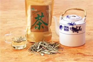 戲水 賞花 機(jī)動游戲 高明盈香生態(tài)園就能讓你 high 翻整個夏天