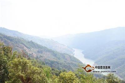 普洱茶投資分析:寫給平靜卻又不平淡的2018