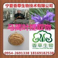 馬蓮 馬蓮價(jià)格 報(bào)價(jià) 馬蓮品牌廠家